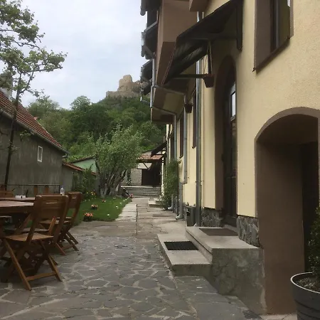 Pensiunea Michael's House 3*