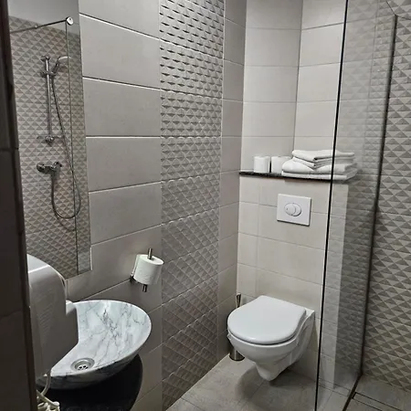 Pensiunea Michael's House 3* Rupea