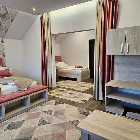 Pensiunea Michael's House 3*