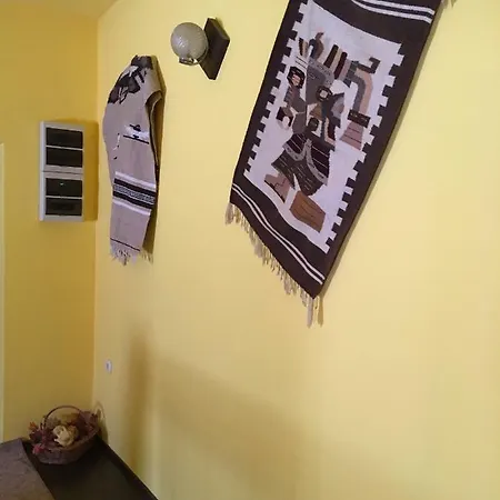 Pensiunea Michael's House 3* Rupea