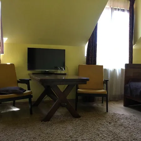 Pensiunea Michael's House 3* Rupea